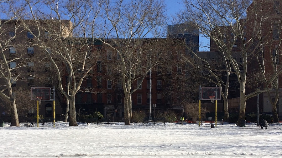 Parc Sara D. Roosevelt