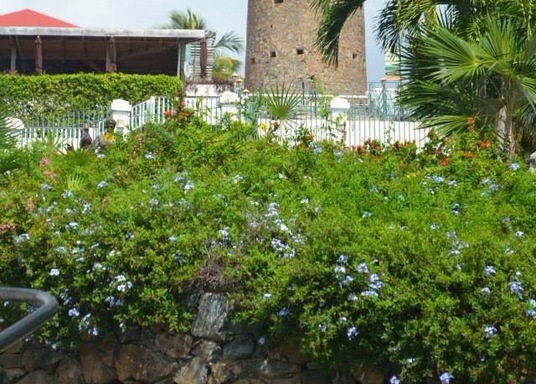 Estate Kings Quarter, U.S. Virgin Islands