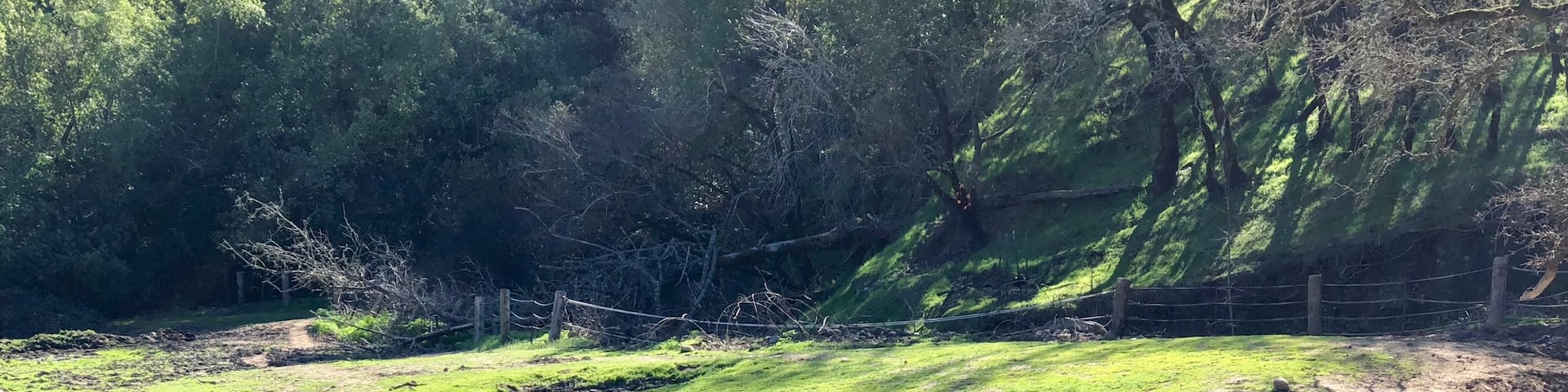 These two rhinos were placed together in hopes of them mating but looks like they’re more interested in lazing around under the California sun 😎 #Wildlife