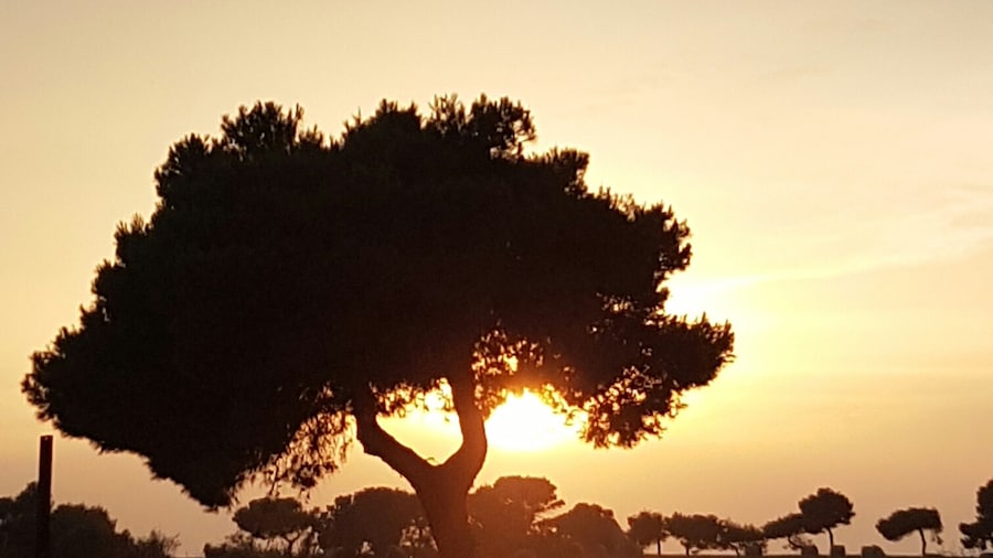Beautifull sunset near Polignano