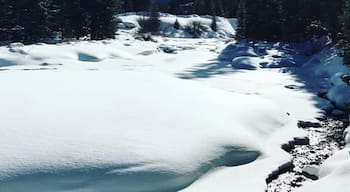 I love #winter in #colorado #breckenridge #snow & #mountains with #blue #skies... couldn't be prettier today  #nature #WinterWonders 