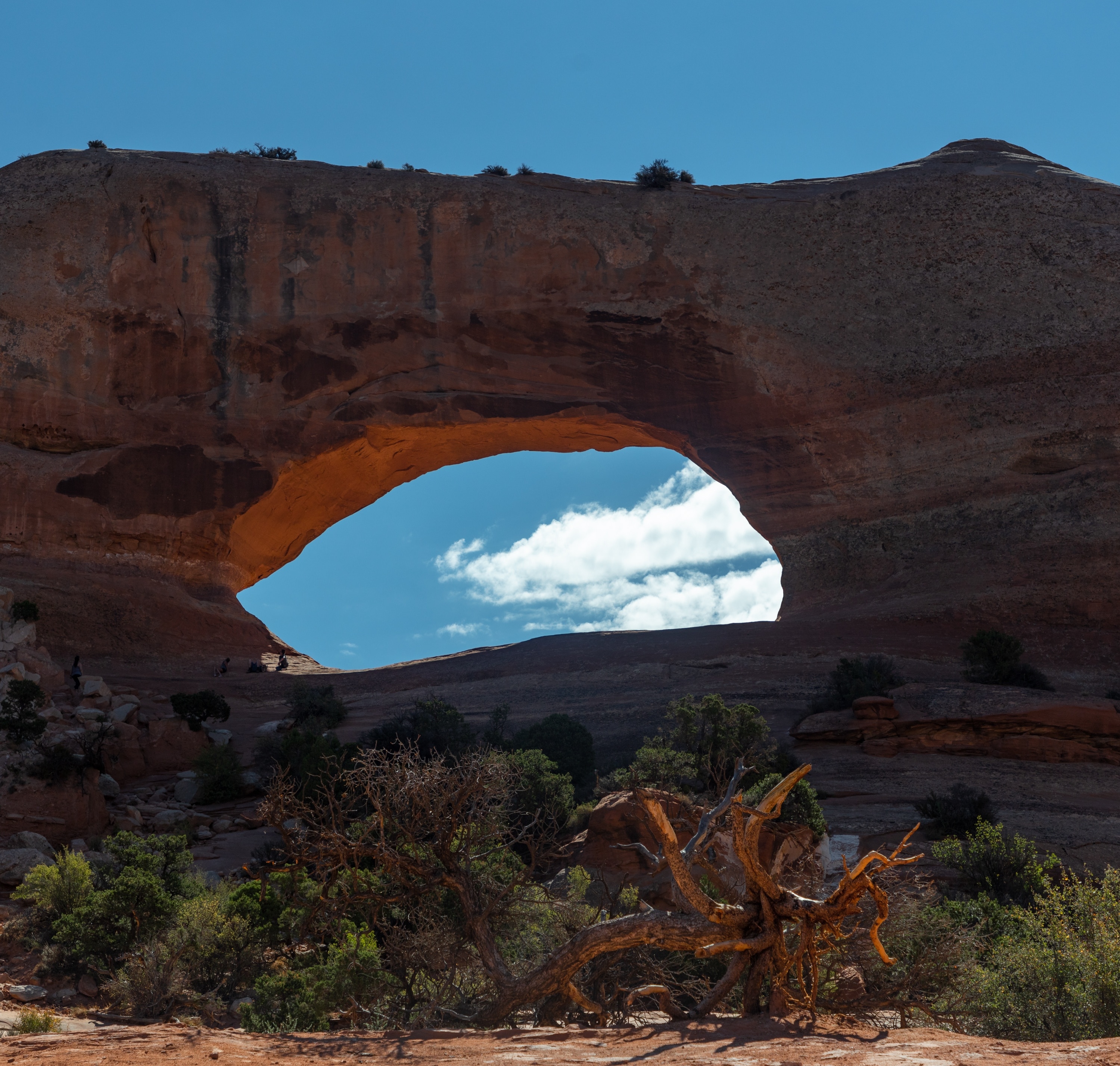 This arch is quite literally on the side of the road. This photo was taken about 5 feet from my car. I wasn't expecting to see the under glow on the arch; I thought that was only a Mesa Arch thing. It is a great arch though on your way to Moab. 
