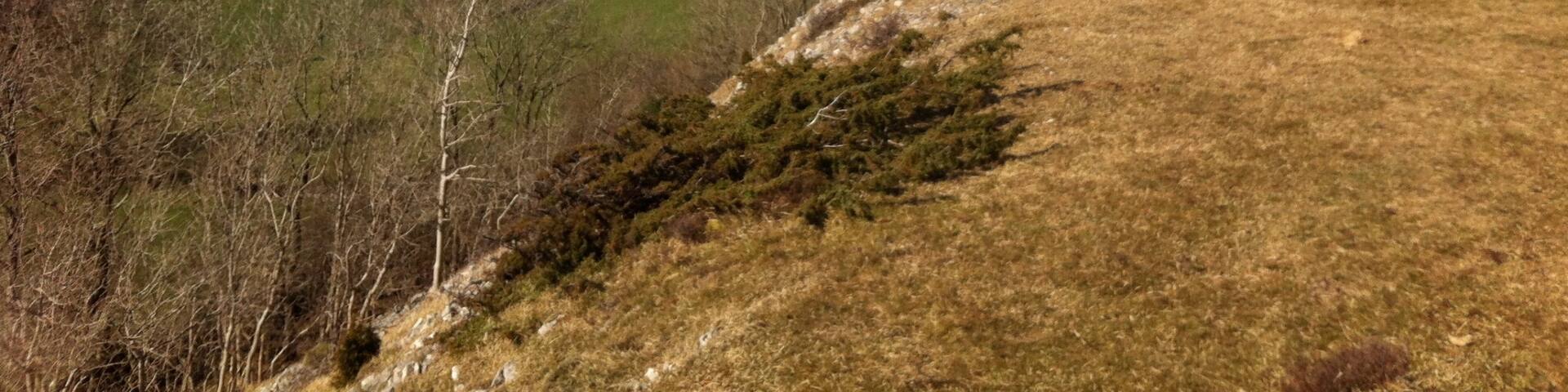 View across Lythe Valley to Lakes