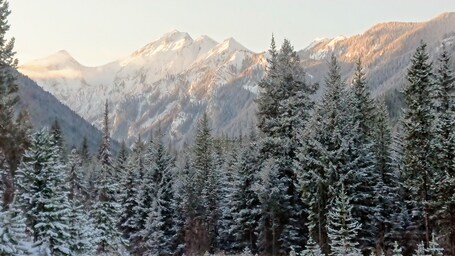 Elkford