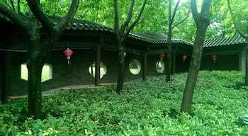 One of the most beautiful parks I went to in Hong Kong, Lingnan Garden in Lia Chi Kok park
#Green 