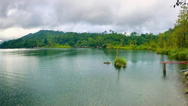 “the beauty of nature is the nature of beauty” #lake #lakedanao #green #trees #mountains 