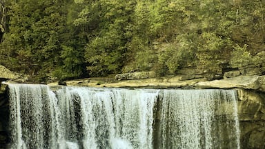 Beautiful waterfalls and scenery. Hiking trails are plentiful. Beautiful views of the falls and the river. They have a gift shop and food shack. Mining experience for kids available. Cumberland Falls is also well known for their Moonbow. Must see place and free