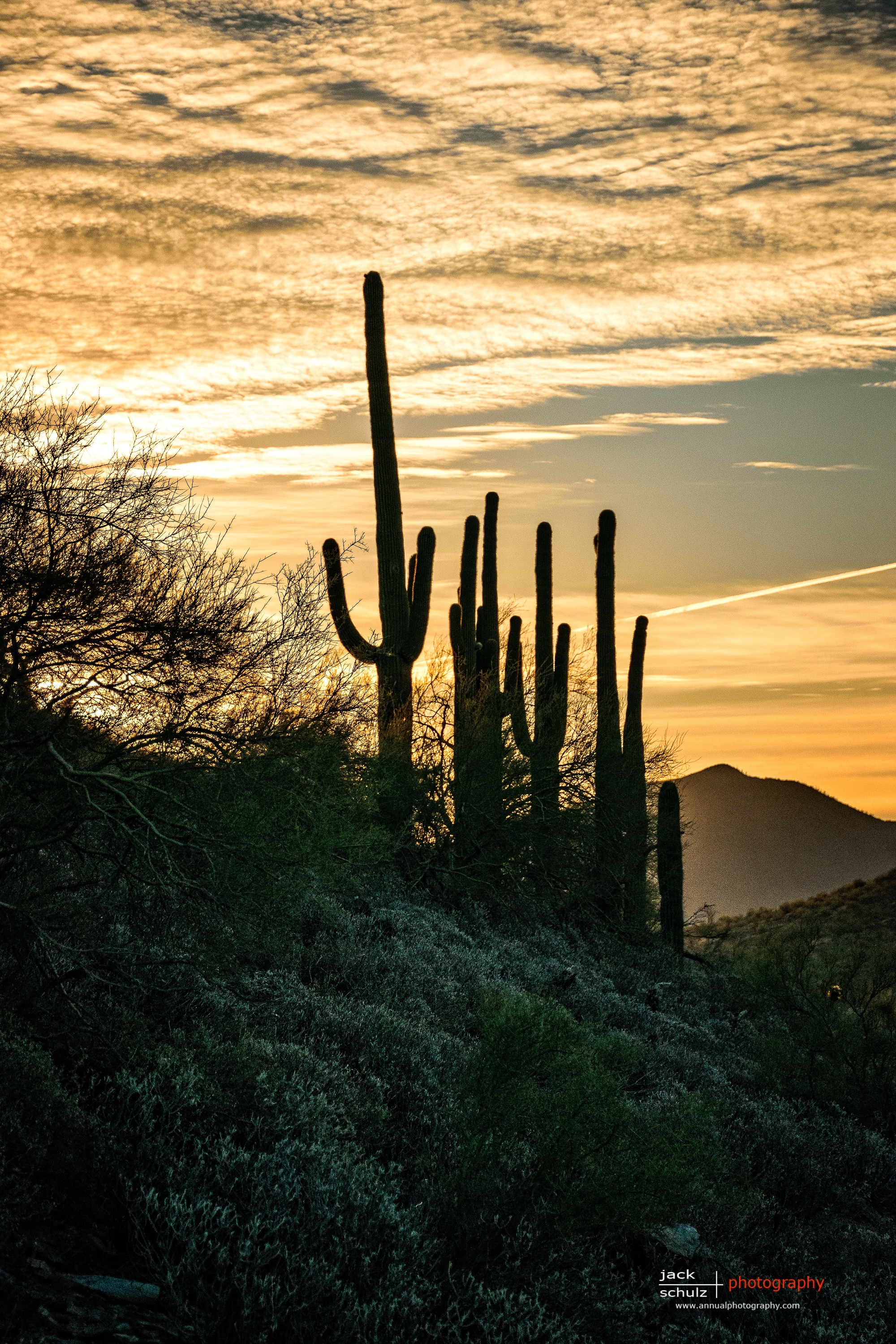 10 Fun Things to Do in Cave Creek March 2023 Expedia