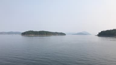 I have no money, no resources, no hopes. I am the happiest man alive. 

- Henry Miller

Leaving Cortes Island.  I feel shrouded in mist but happy.  The trip has mostly been a success.  Coming back to Cortes with a group of Chinese parents and students was hard to pull off but extremely rewarding.  
