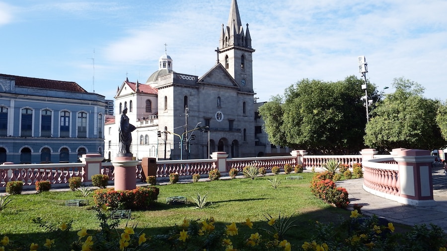 Bela igreja no centro de Manaus.
#UrbanJungle