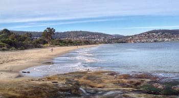 Nice beaches close to the city centre are hard to find - most are tiny or don't have much sand to enjoy. Howrah is about a 10-minute drive from Hobart city and you can bring the pooch. 
You'll get a lovely view of the city, river and Mount Wellington.