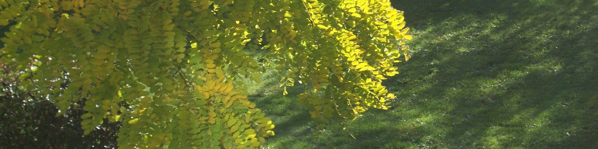 Edmonton, ลอนดอน, อังกฤษ, สหราชอาณาจักร