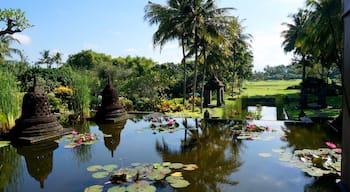 The absolutely stunning gardens of the Hyatt in Yogyakarta. #Indonesia #green #garden
