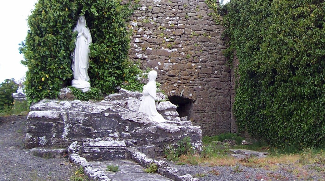 Mayo Abbey, County Mayo, Ireland