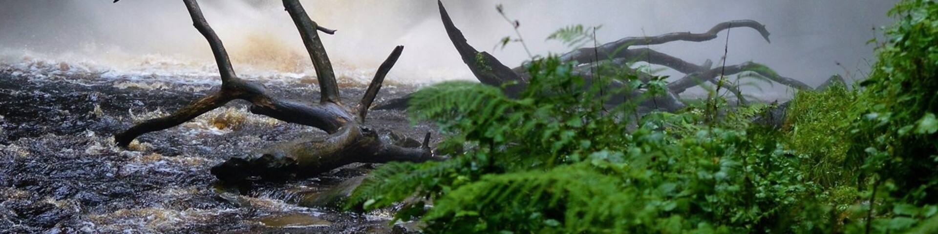 Henrhyd Falls! This huge waterfall was used as the entrance to the Bat Cave in Dark Night Rises! You can actually walk into the small cave hiding behind the waterfall. Stunning! Nice work Nature!! #waterfall #batman #super