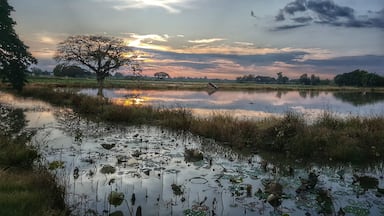 Usually full of Lotus flowers which makes exceptionally beautiful photos, but catch the right sunset when no lotus flowers are growing and you get more fantastic results