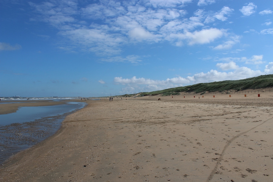 Beach near Amsterdam