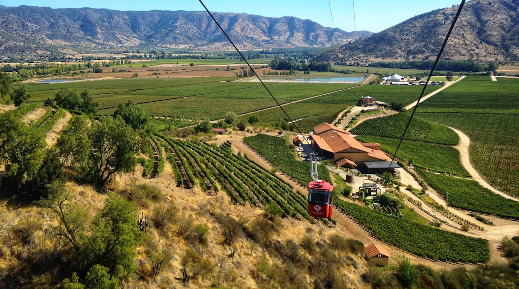 Colchagua Valley Wine Route, O'Higgins Region, Chile