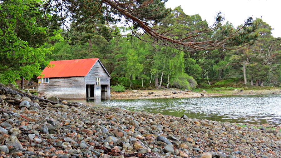 📍Loch Vaa, by Aviemore
Loch Vaa is a 39 acre spring fed Loch , fully stocked with Rainbow, Brown and Blue Trout. A lovely place to walk your dogs or go for a swim!
#Aquatrove #likealocal