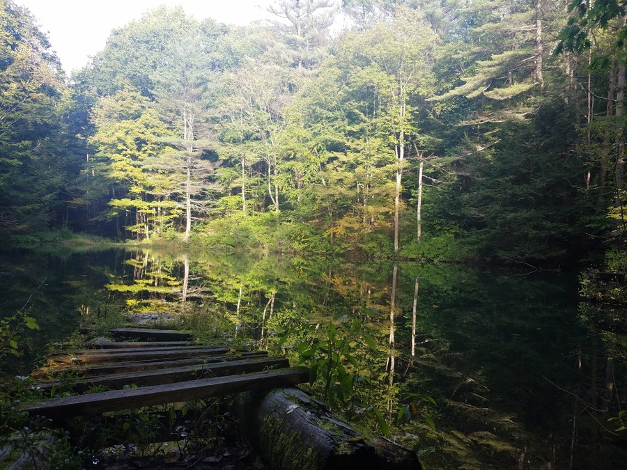 Mirror pond on the Burkbank trail