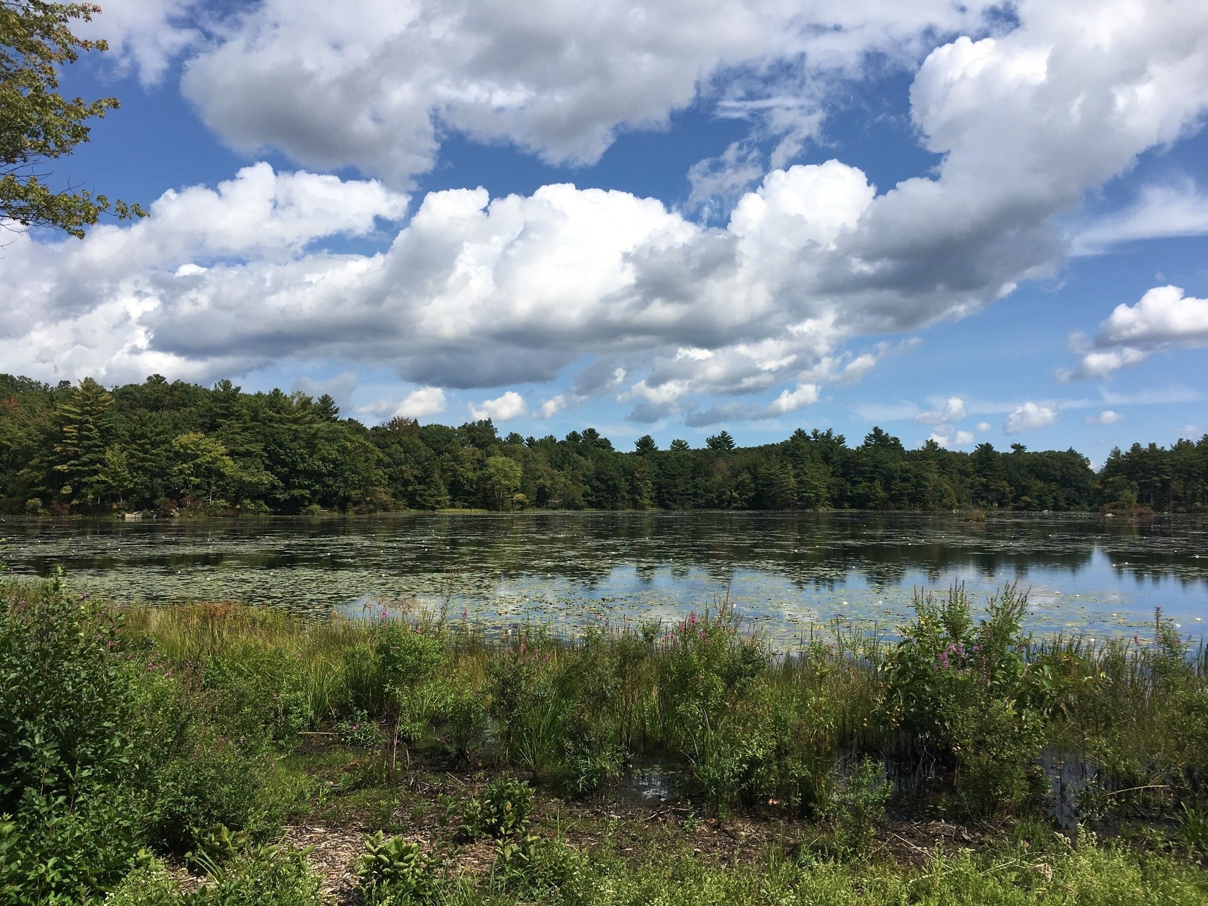 Visit North Andover 2020 Travel Guide for North Andover, Massachusetts