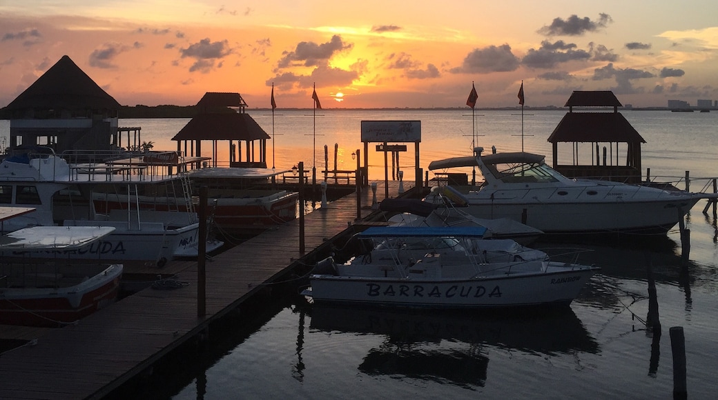 Foto oleh Emilia Torres