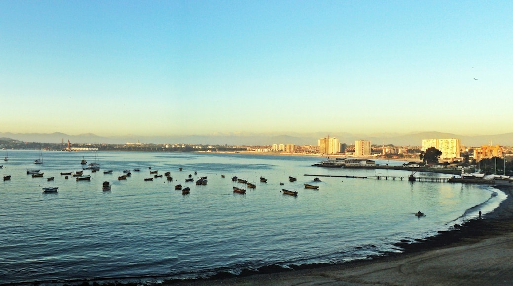 Visit Coquimbo Best of Coquimbo, Coquimbo Region Travel 2022 Expedia