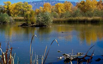Rio Grande Nature Center State Park, Albuquerque, New Mexico, United States of America