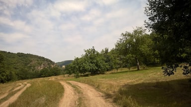 Driving down a dirt road, an old fortress called Kuhluti is visible in the distance.

View from rural Kvemo Kartli in the country of Georgia. 