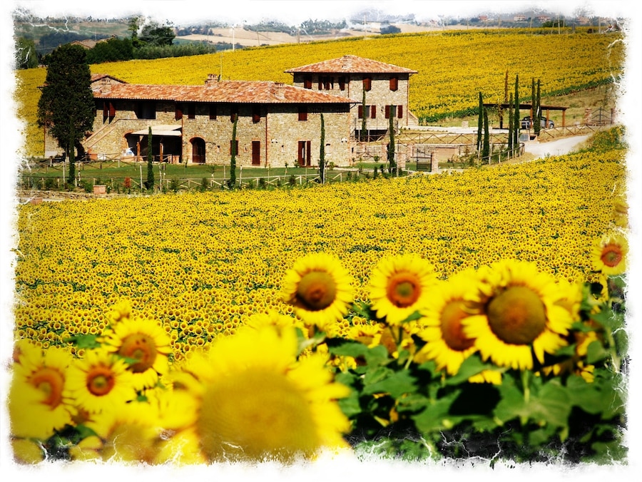 If you’re looking for the perfect location for a group to get together and chill…but also for your wedding, birthday celebration or special event, this is the right place.
Fonte Girasole, built in the 18th Century, has a 15 mt. infinity eco-swimming pool and it is located in Paciano. It consist in 5 different guests houses. The atmosphere which you perceive at Fontegirasole, is based on a concept of simple elegance and high comfort. This beautiful property is an old stonebuilt tobacco house which has been totally restored using authentic materials, such as beamed ceilings, terracotta floors and exposed brick arches.