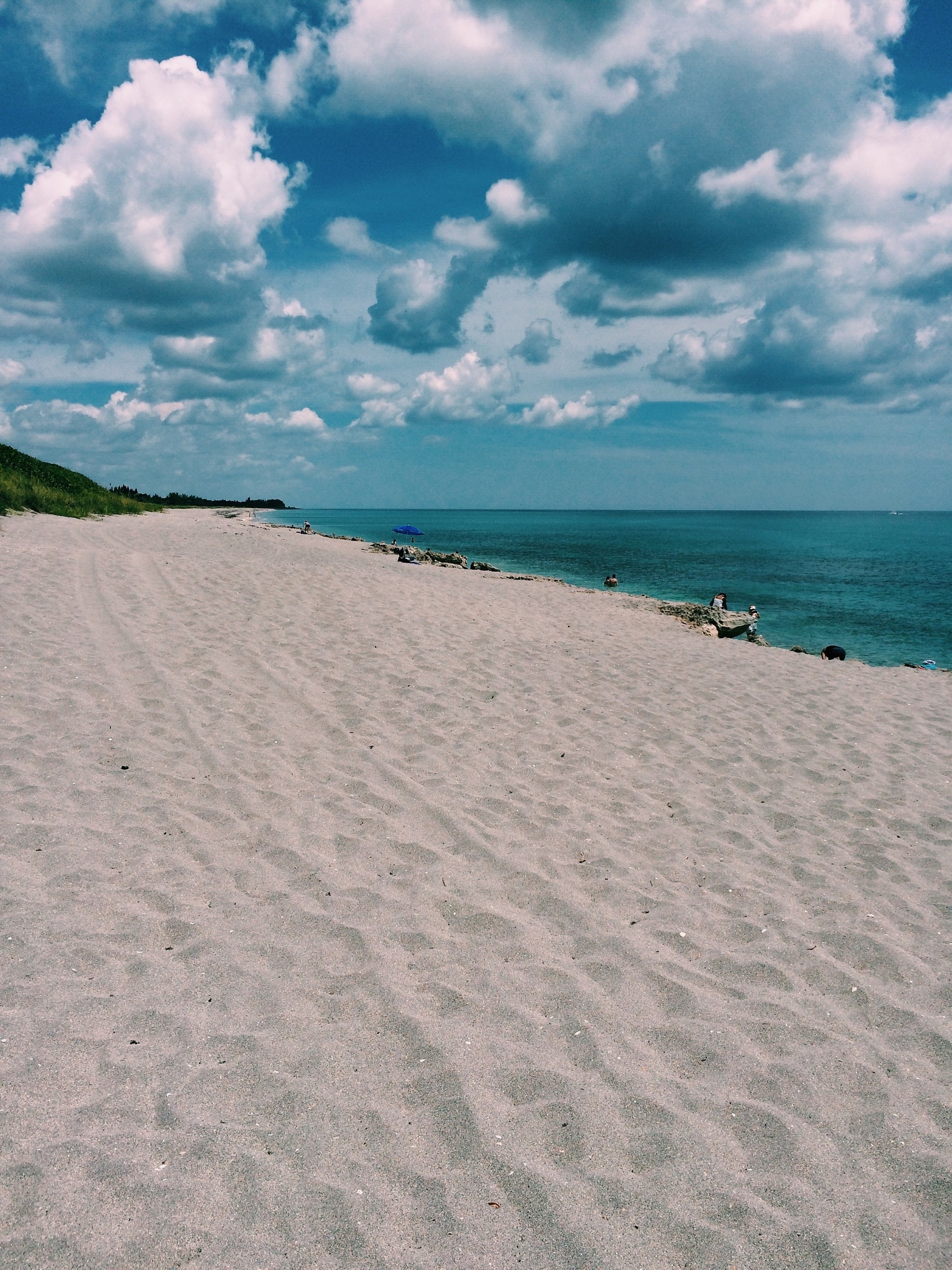 Visit Hobe Sound 2021 Travel Guide for Hobe Sound, Florida Expedia