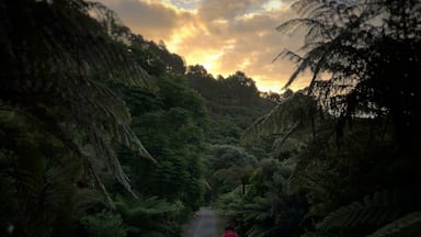 Beautiful sunset while having a walk in Te Puna.