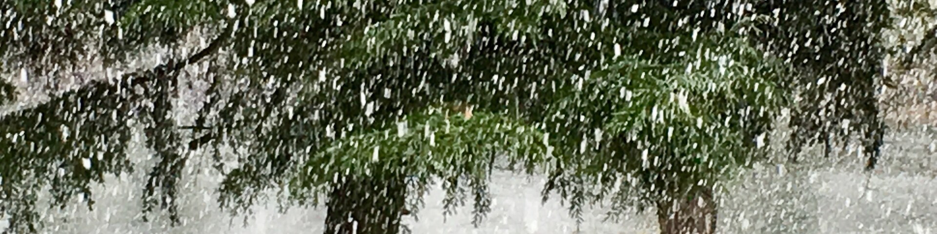 Roseburg, Oregon, United States of America