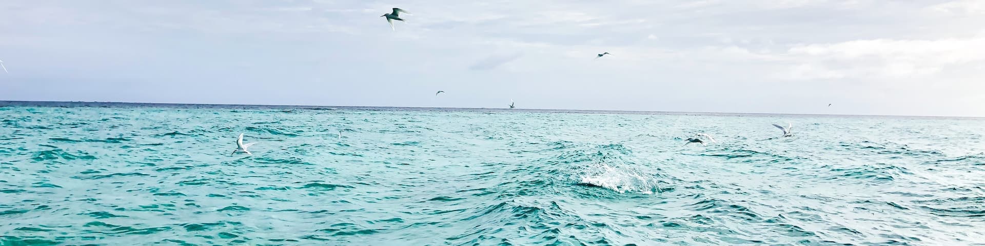 Ocean sound