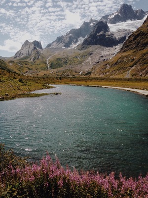 Great scenery along the Tour du Mont-Blanc. This is close to Courmayeur, just passing col de la Seigne. #hiking #landscape #nature #italy #tmb #trekking #alps