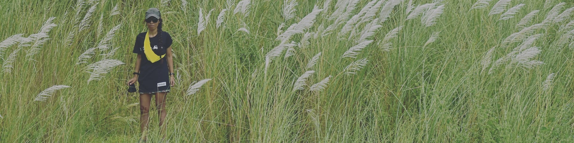 What seems to be fields of reed grass will surely catch your eyes when crossing the bridge. The flood plain, on both sides of the Abra river is teeming with these white flowers, beautifully swaying with the wind. They seem to go from under  the bridge to the foot of the mountains. It's just gorgeous!
Thanks again @trover for sending the t-shirt over! 
🇵đź‡
#reedgrass