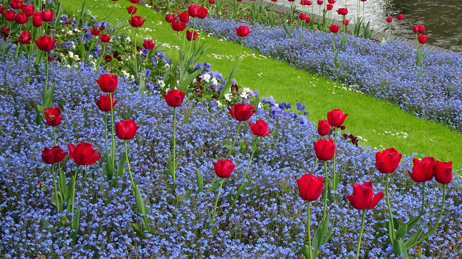 Westgate Gardens