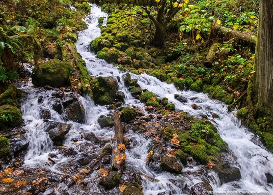 Corbett, Oregon, Amerika Serikat