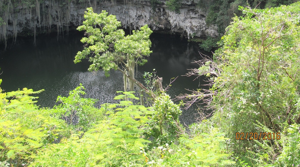 Los Tres Ojos kireç taşı mağarası parkı, Santo Domingo Este, Santo Domingo (ili), Dominik Cumhuriyeti