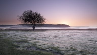 Looking towards the Bristol Channel with Laugharne Castle at my back. I love early mornings everything is so pristine.
