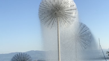 Lovely fountains that look like dandelions.  A quick ferry ride over from Friedrichshafen.