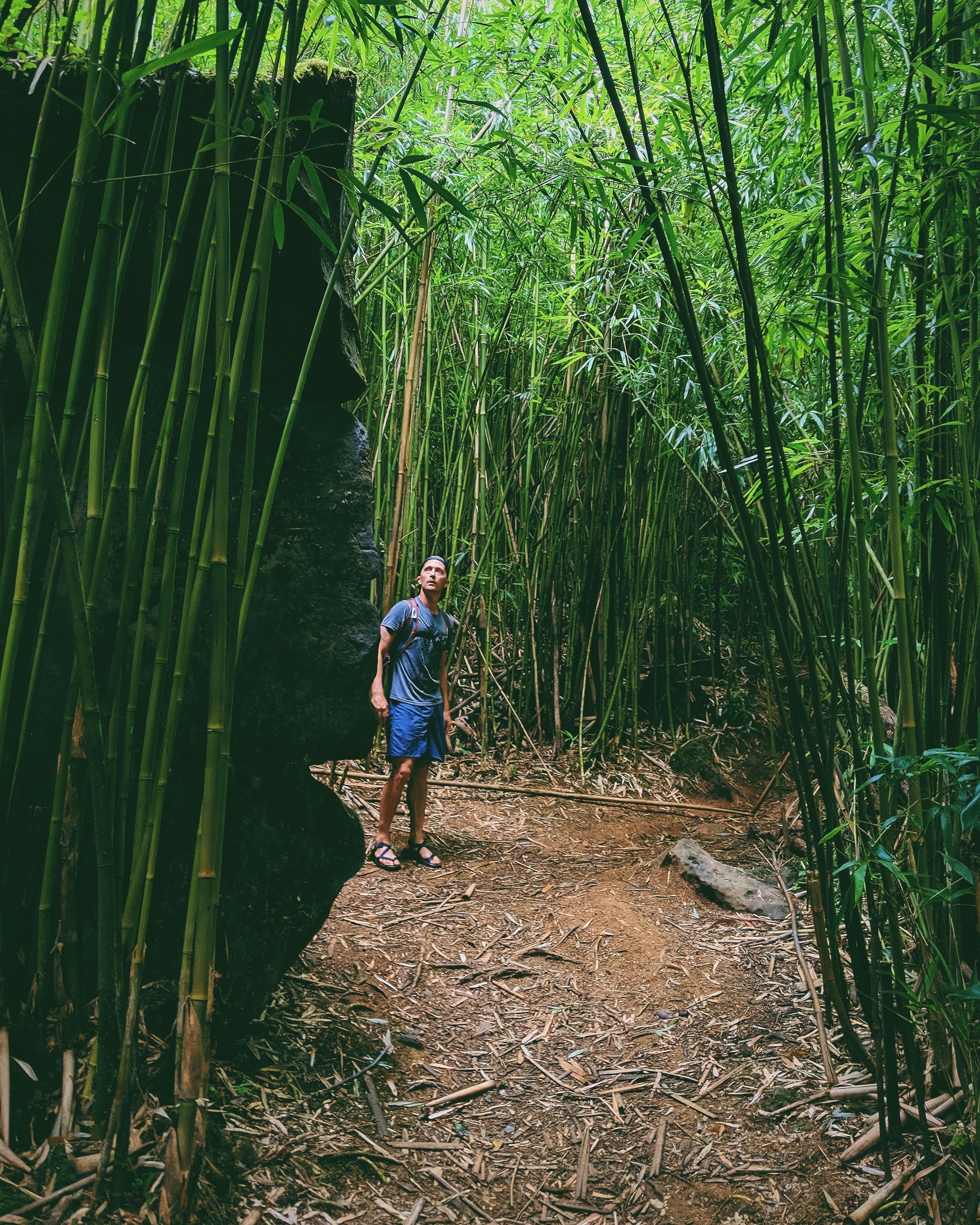 This trail doesn't look difficult from this spot but don't let that fool you

#adventure #hiking