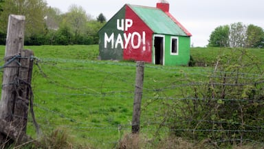 We spent 21 days in Ireland in 2013 and it coincided with the Irish Football Championships. You knew when you were driving into a new county by all the county flags that were displayed. In County Mayo the colors are Green & Red ( see https://www.youtube.com/watch?v=tfbECCadKfQ ) as witnessed by this Farm Building we spotted. 
