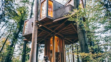 That Slovenia is one of the worlds most eco friendly places can be found in every corner of the country. We had a warm welcome at this treehouse and a great explanation about the surrounding nature. Even the way this cabin was build, was in great respect for the trees holding it. 🍁

#trover #slovenia #treehouse #hiking #nature #cabin

Make sure you follow me on: 
https://www.facebook.com/ShotByCanipel/
https://www.instagram.com/canipel/