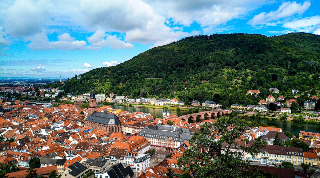 Bahnstadt, Heidelberg, Baden-Württemberg, Deutschland