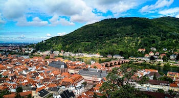 Perfect view to Heidelberg from the Palace.