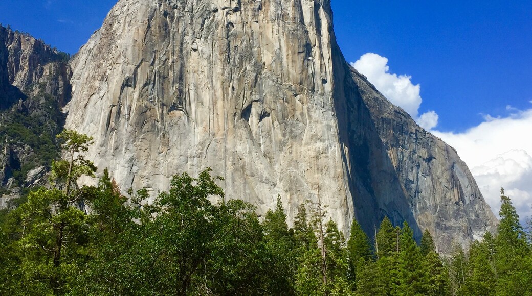El Capitan Meadow, Yosemite National Park, California, United States of America