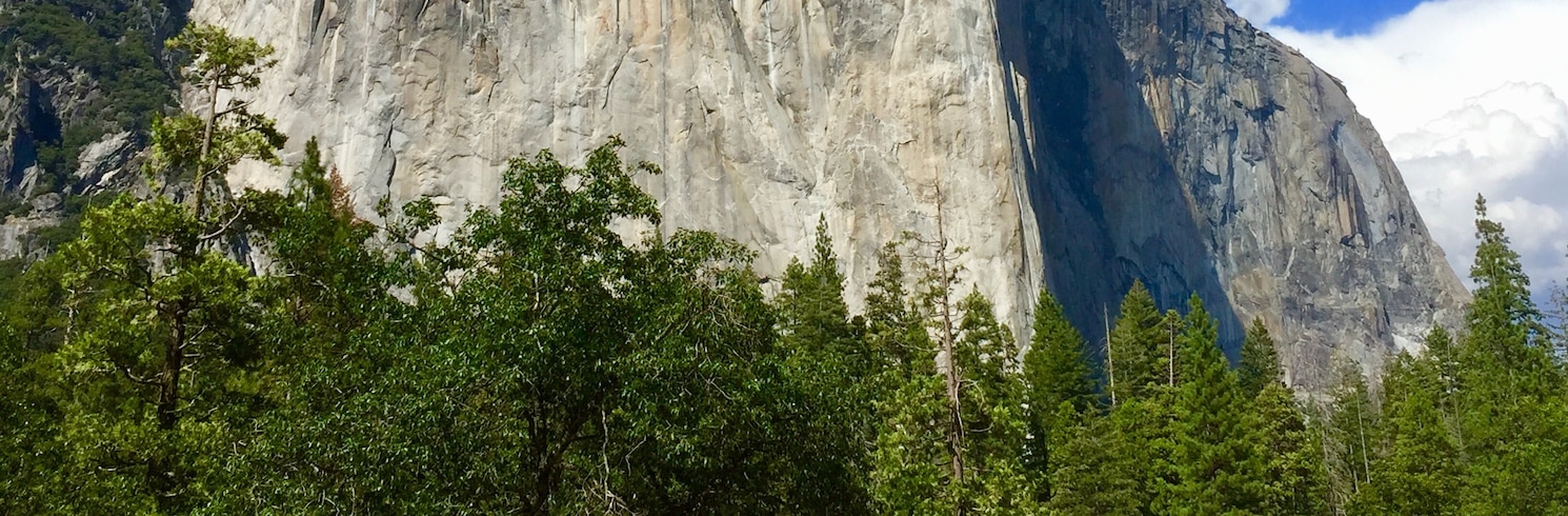Yosemite National Park, California, United States of America
