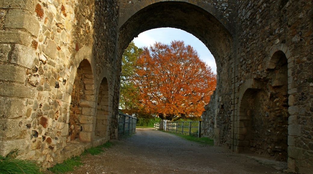 Foto di Janusz Godlewski