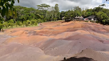 The Seven Coloured Earths are a geological formation and prominent tourist attraction found in the Chamarel plain of the Rivière Noire District in south-western Mauritius. It is a relatively small area of sand dunes comprising sand of seven distinct colours (approximately red, brown, violet, green, blue, purple and yellow). The main feature of the place is that since these differently coloured sands spontaneously settle in different layers, dunes acquire a surrealistic, striped colouring. Since the earth was first exposed, rains have carved beautiful patterns into the hillside, creating an effect of earthen meringue